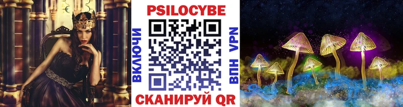 Купить закладки  Вельск  Псилоцибиновые грибы Cubensis 